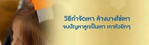 วิธีกำจัดเหา ล้างบางไข่เหา จบปัญหาลูกเป็นเหา เกาหัวยิกๆ