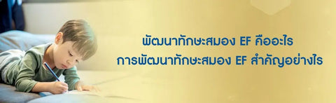 พัฒนาทักษะสมอง EF คืออะไร การพัฒนาทักษะสมอง EF สำคัญอย่างไร